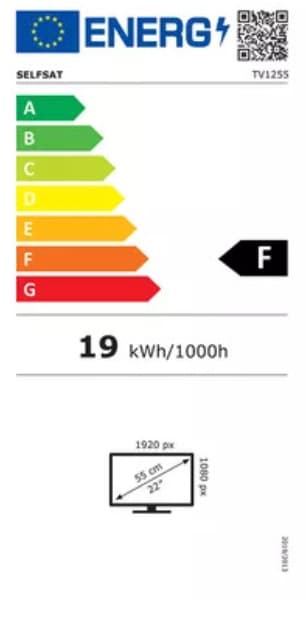 Selfsat Smart Camp Full-HD Smart LED-TV 24" (12/24V)