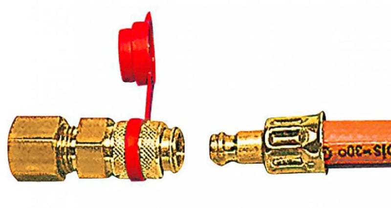 Naaras pikaliitin (62-449-02)